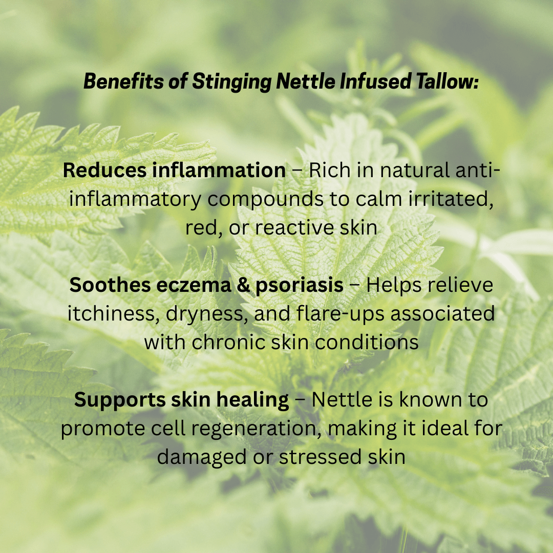 Tallow Balm - Stinging Nettle Infusion
