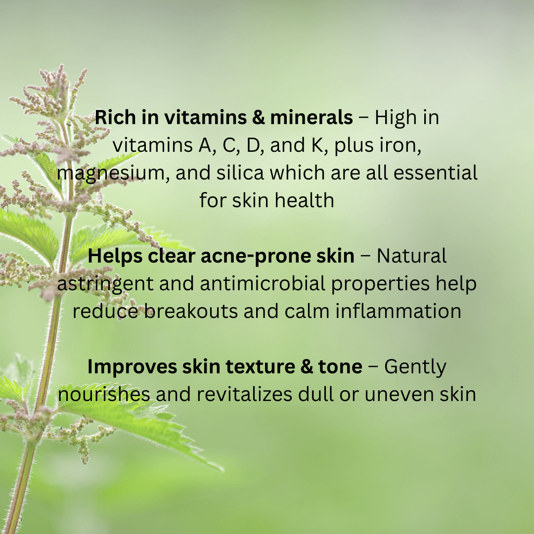 Tallow Balm - Stinging Nettle Infusion