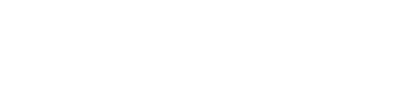 The Little Yellow House